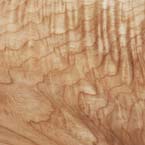 Curly Maple